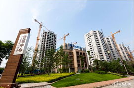 宁乡蓝色港湾房子好吗 宁乡蓝色港湾房子好吗