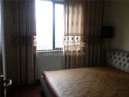 渝能国际二手房